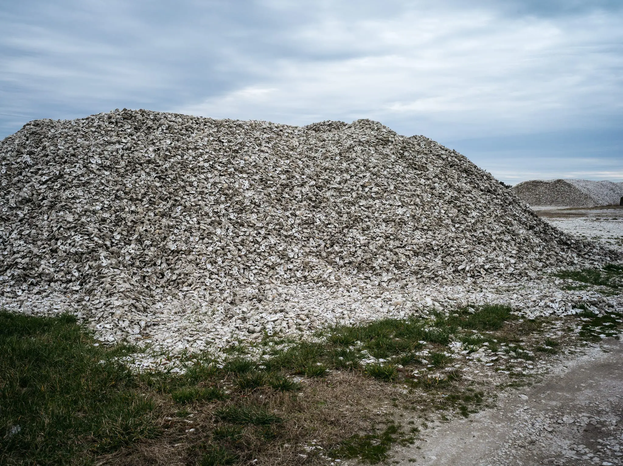 Piles of oyster shells to create oyster reefs in the Chesapeake Bay.