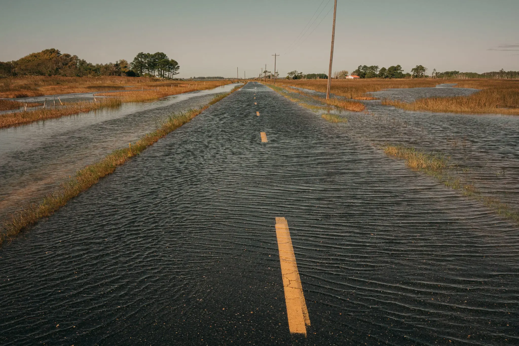 High tide flooding in Hoopersville over-washes the road.