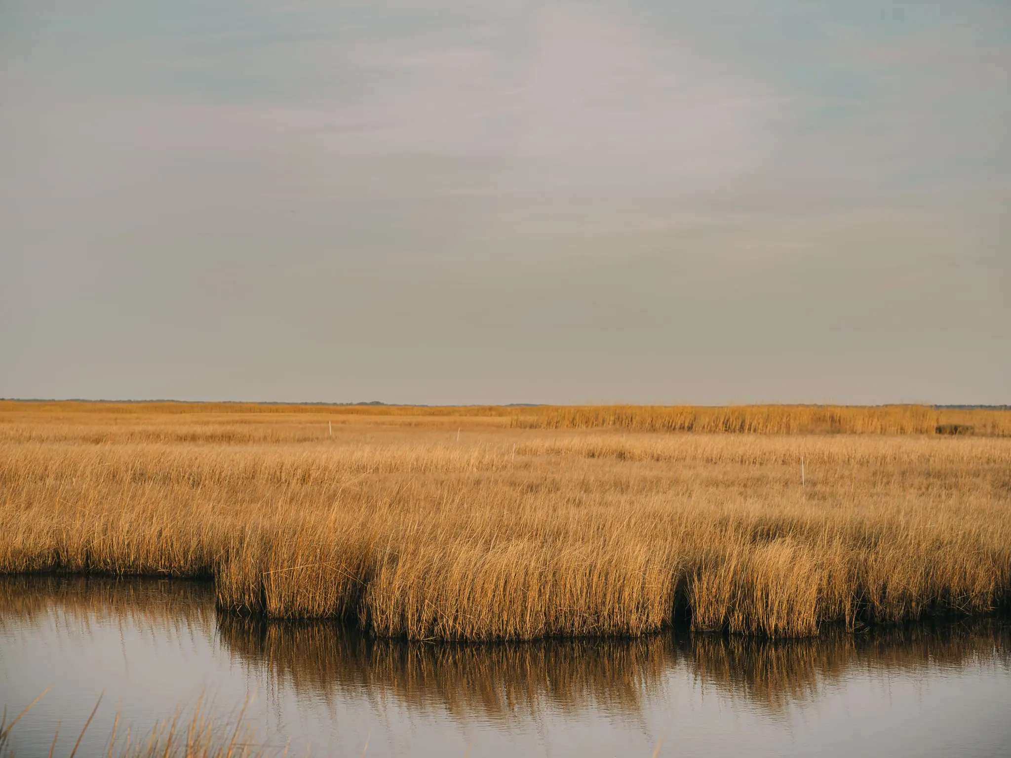 The marsh in Blackwater is slowly being washed away.