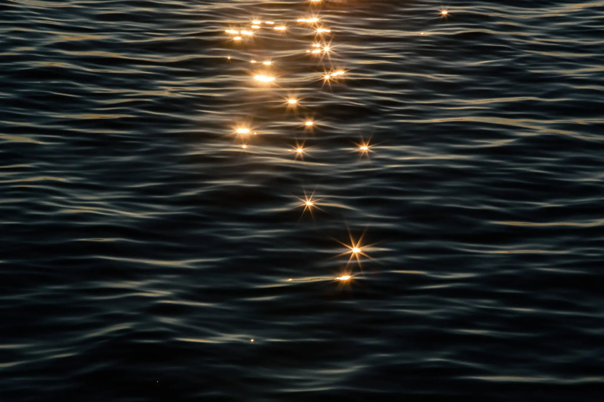Sunlight reflects from the peaks of ripples in the Chesapeake Bay.