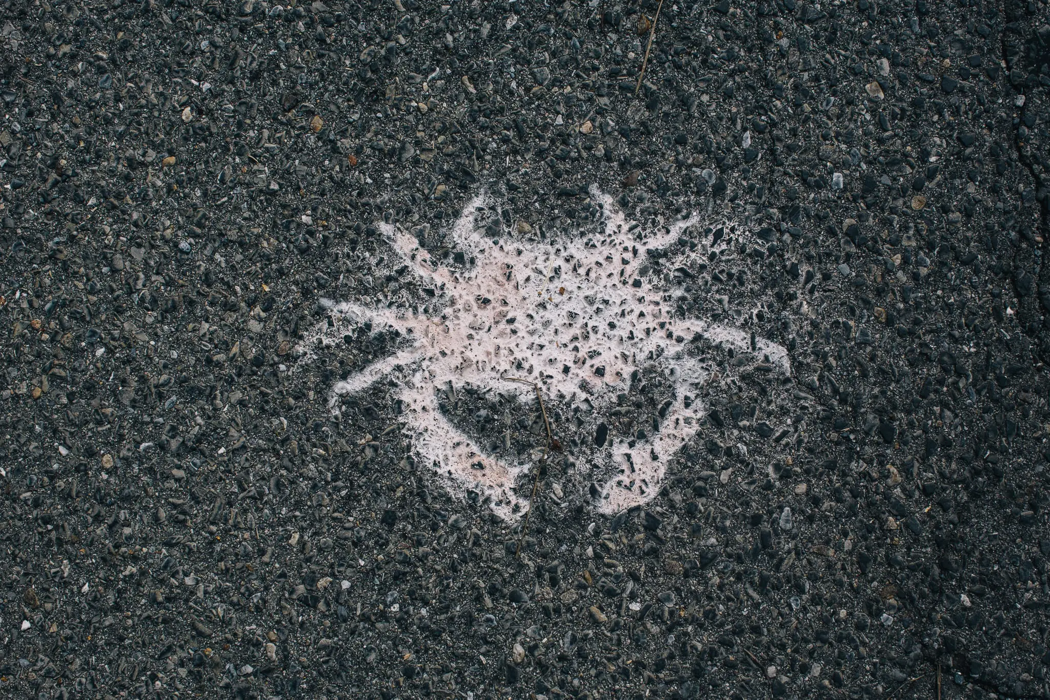 A painted crab on the street in Crisfield.
