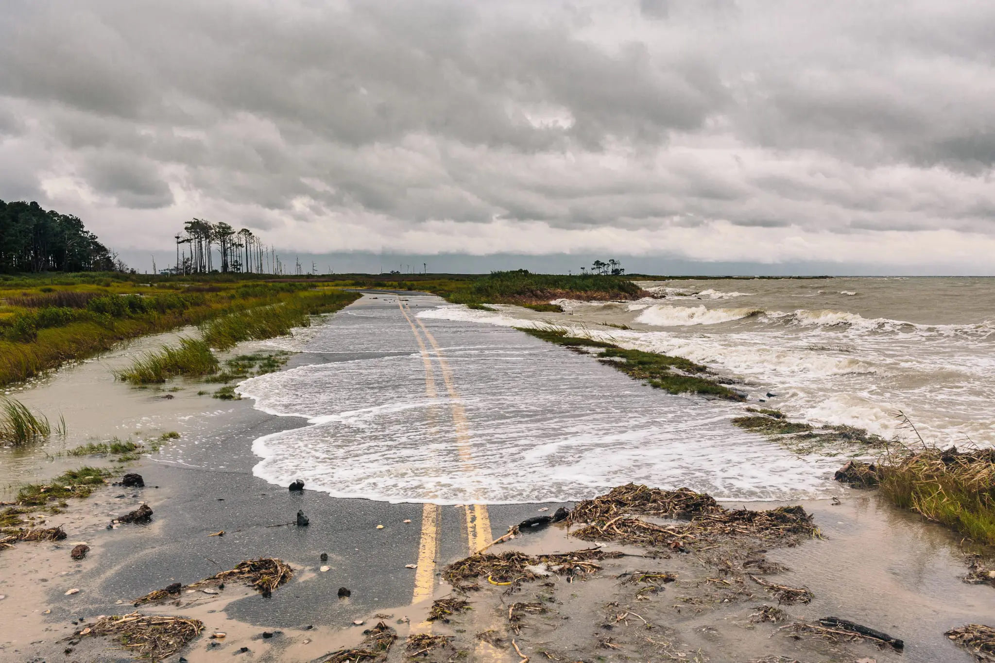 Water spills onto Hoopers Island Road during high tide.