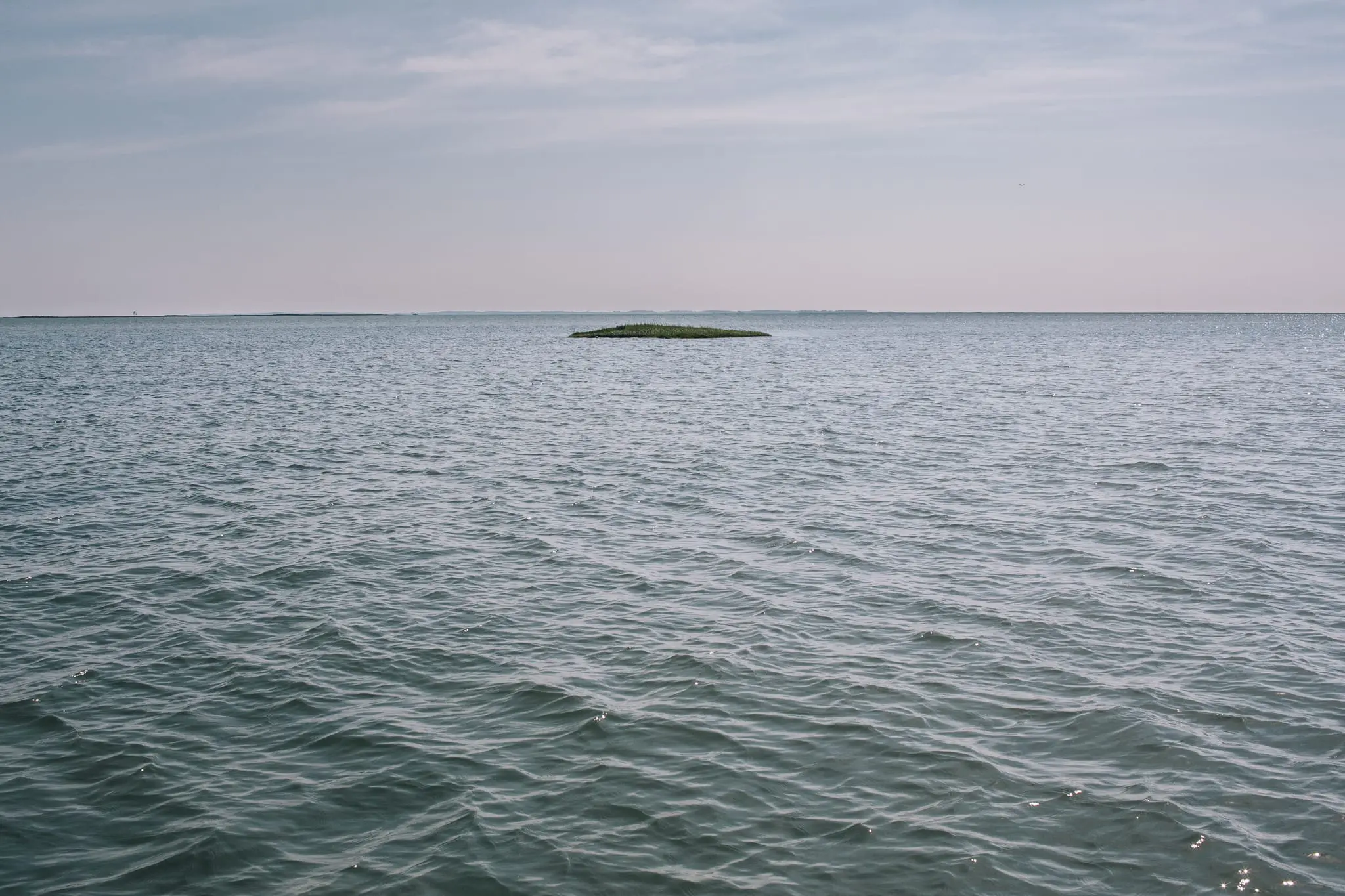 A piece of Holland Island sits in the Chesapeake Bay.