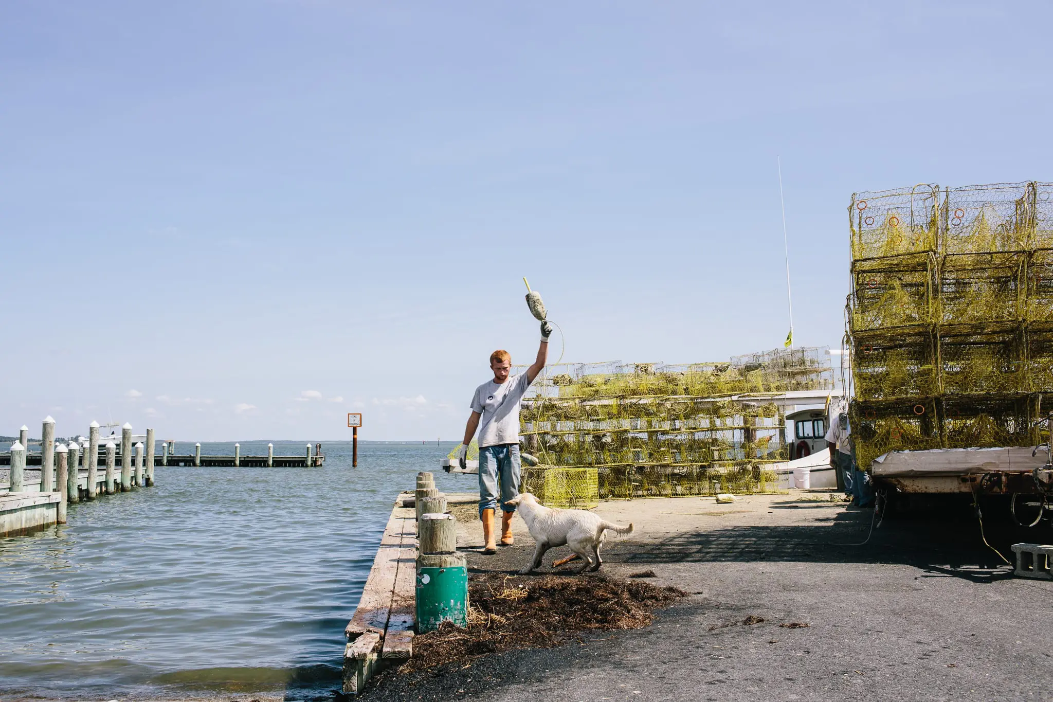 A waterman and his dog fix crab pots near Hoopersville.