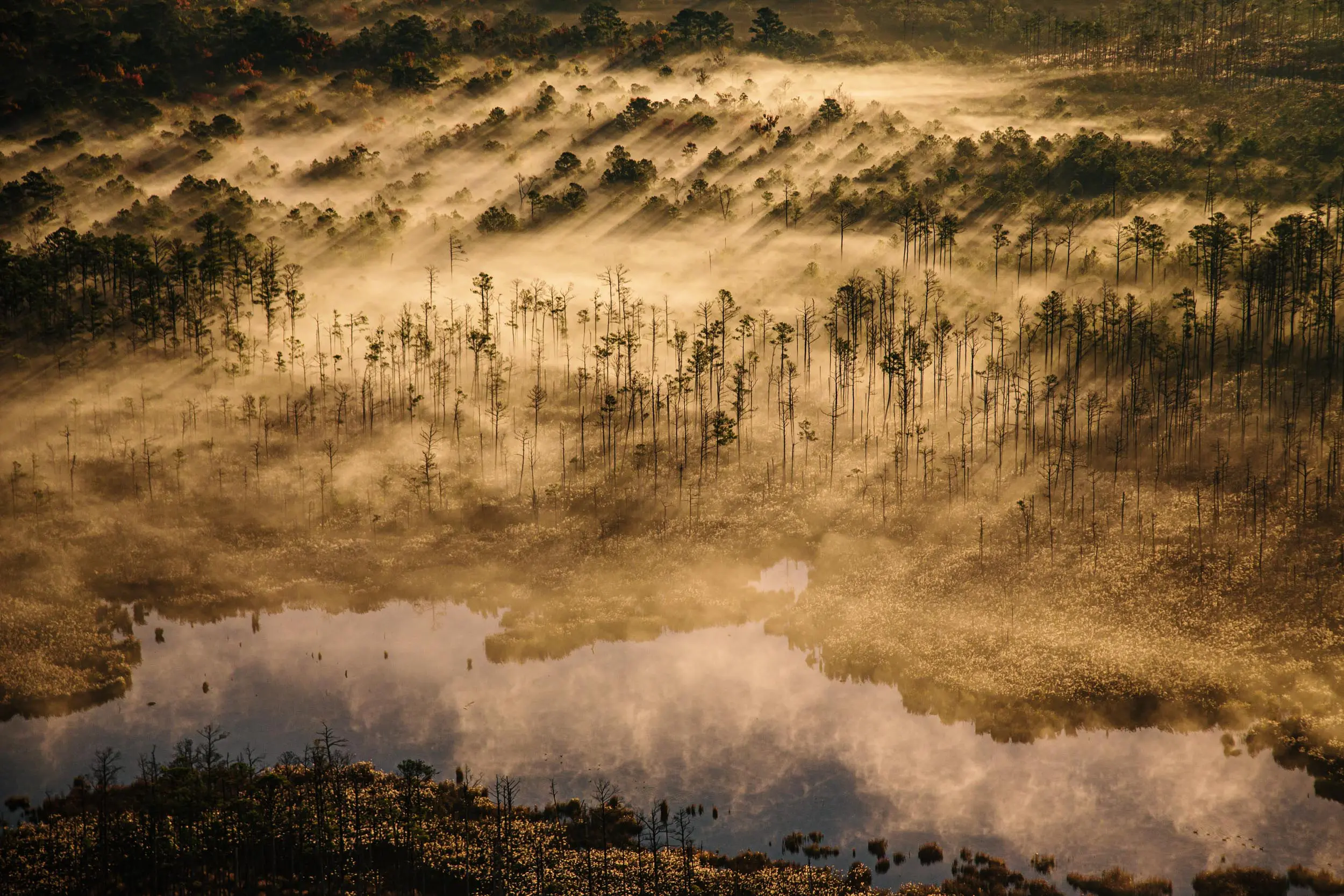 From above, water from the Chesapeake Bay intrudes on the marsh of Blackwater NWR.