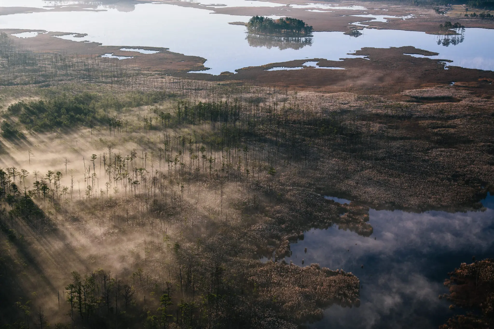 From above, water from the Chesapeake Bay intrudes on the marsh of Blackwater NWR.