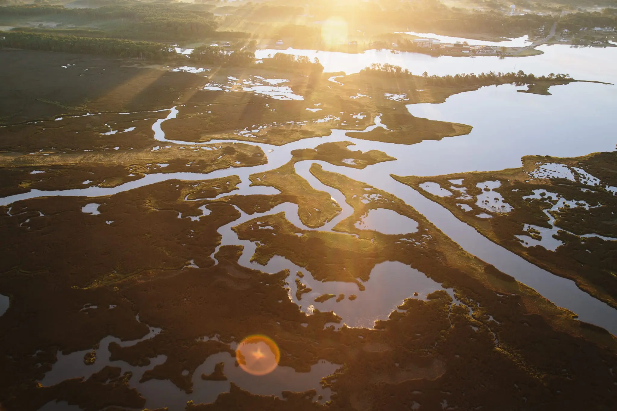 Slowly disappearing land near Crisfield, MD.