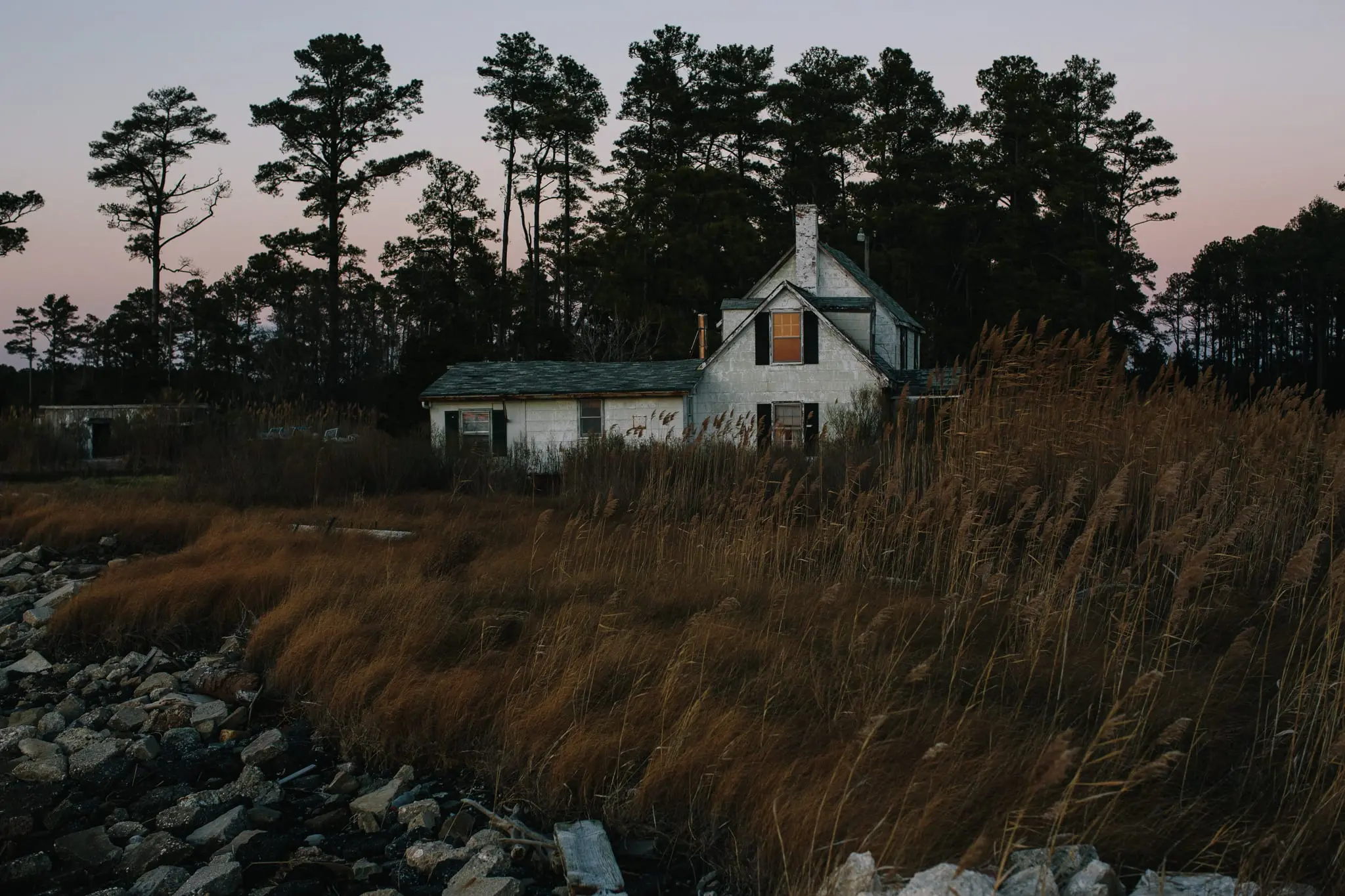 A home along the banks of the Chesapeake Bay, surrounded by Phragmites.