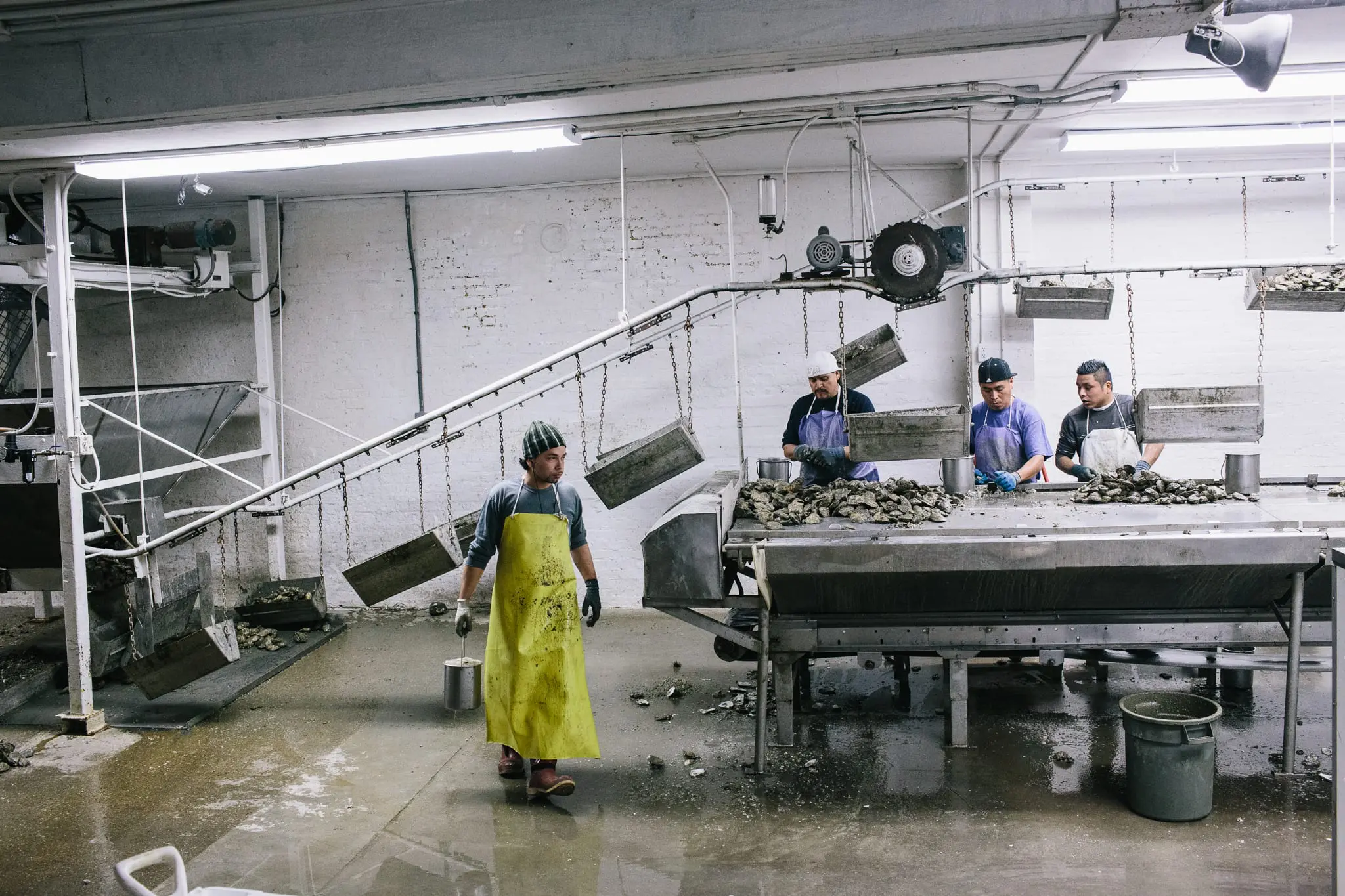 Workers shuck oysters at MeTompkins Seafood.
