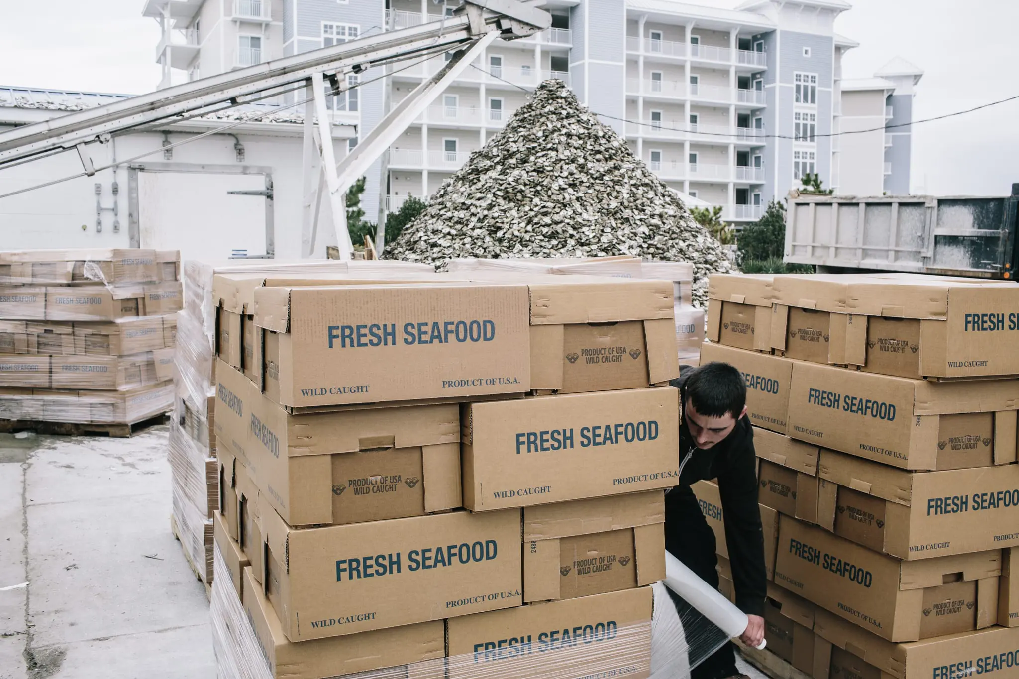 Brandon Sterling secures pallets of oysters for shipping.
