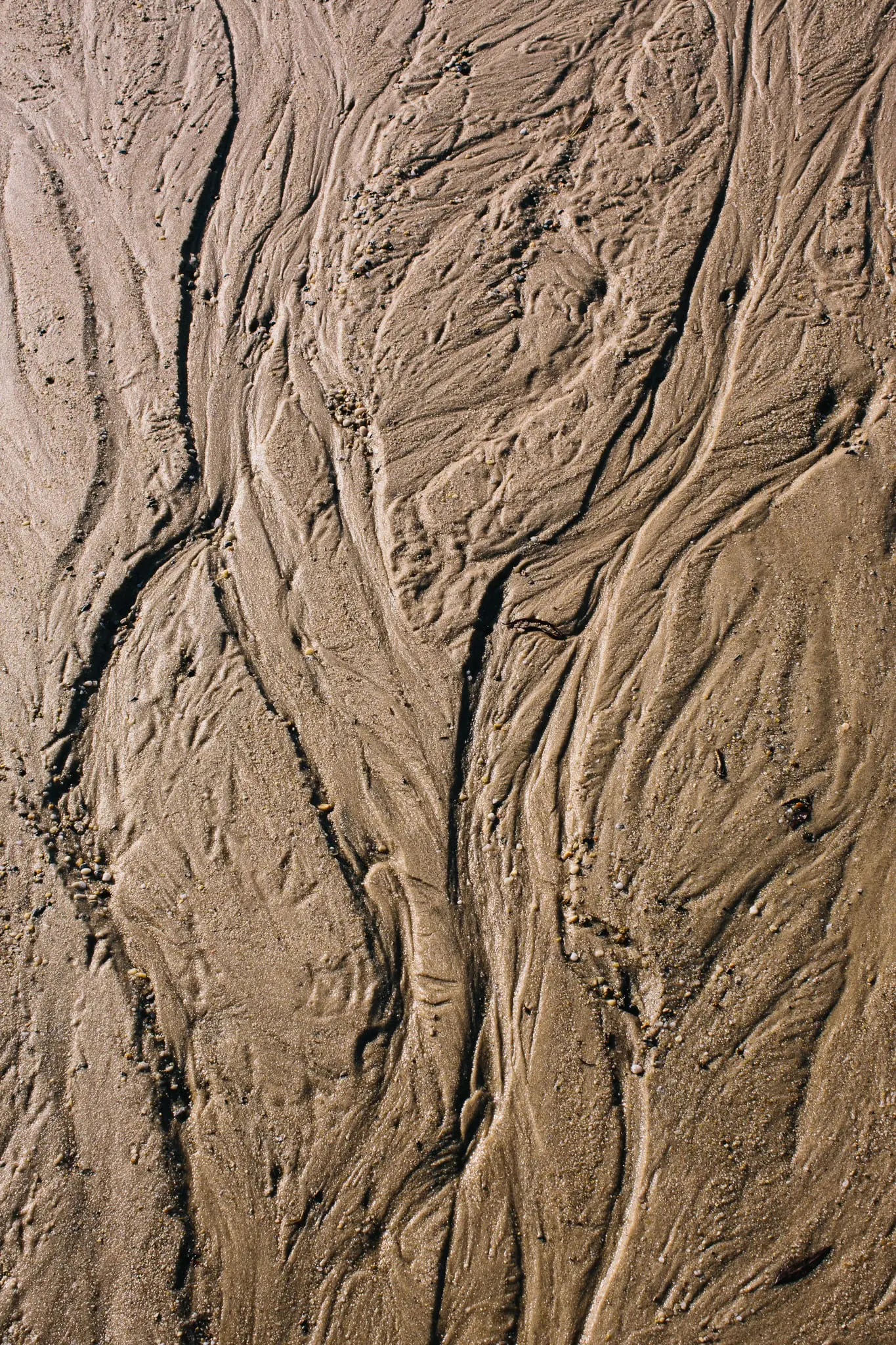 Deep grooves in the sand on a beach in Crisfield.