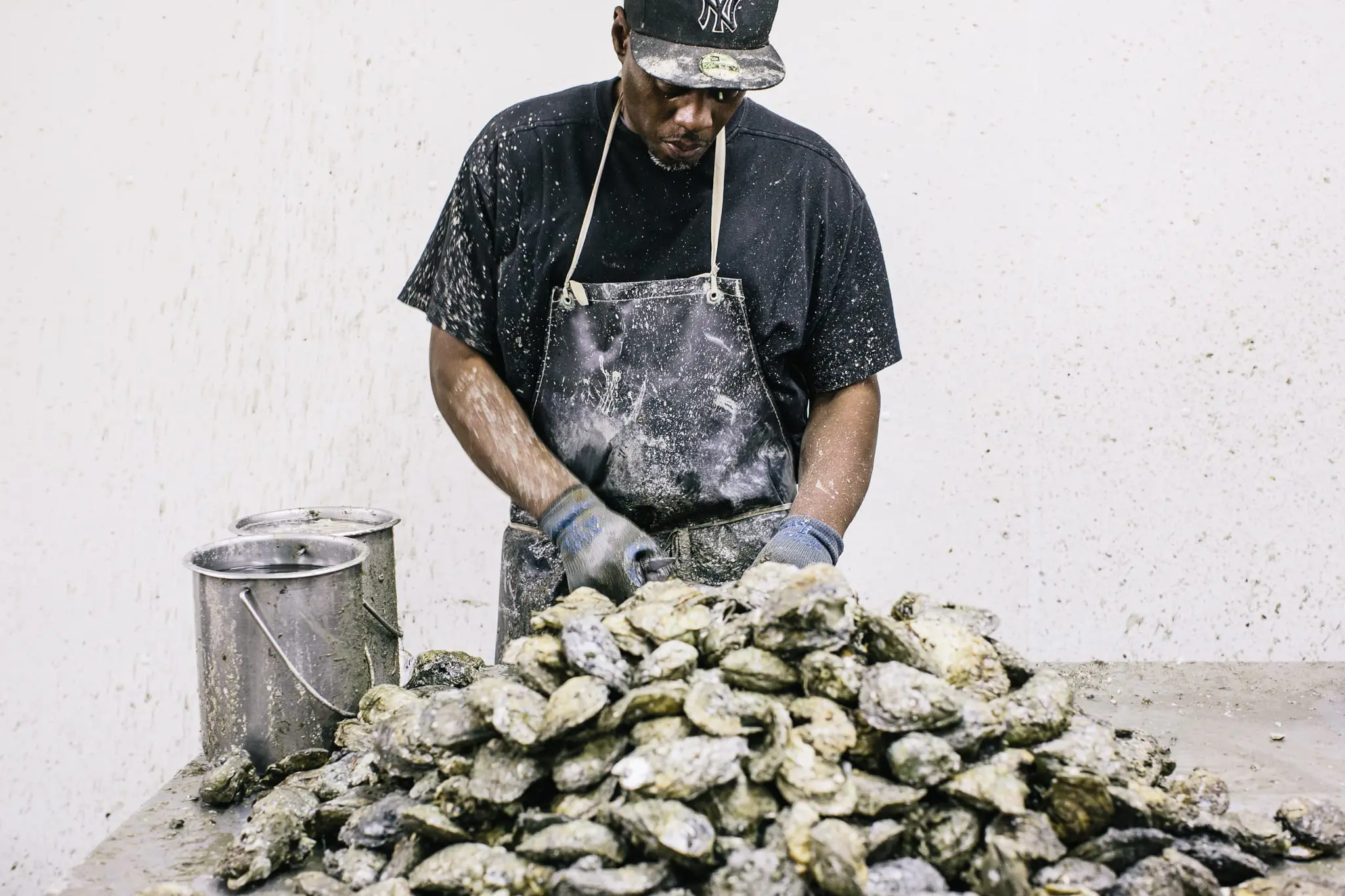 Workers shuck oysters from 4 - 11am weekdays at MeTompkin Seafood.