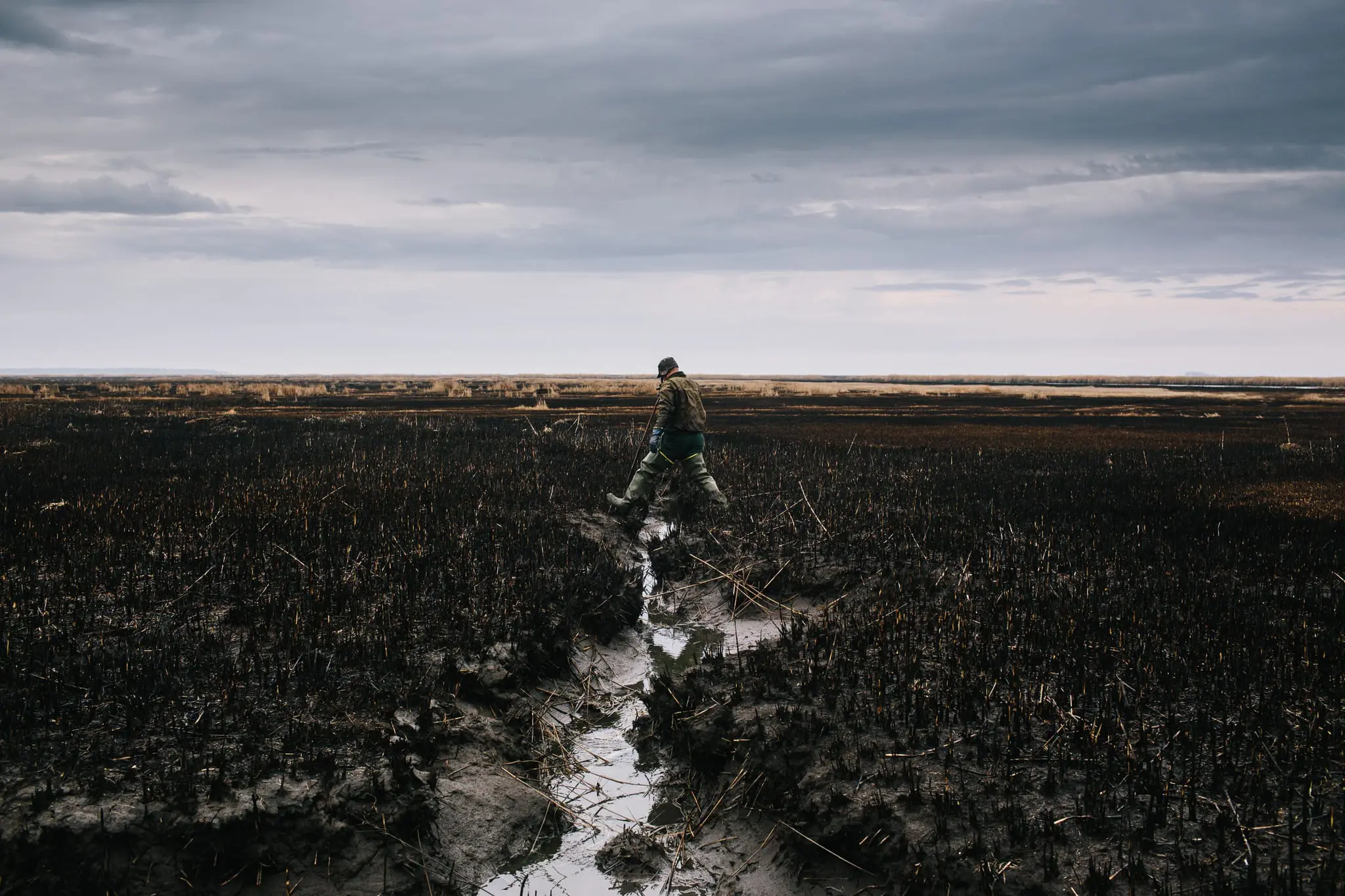 Phil Jackson trapping in Blackwater NWR.