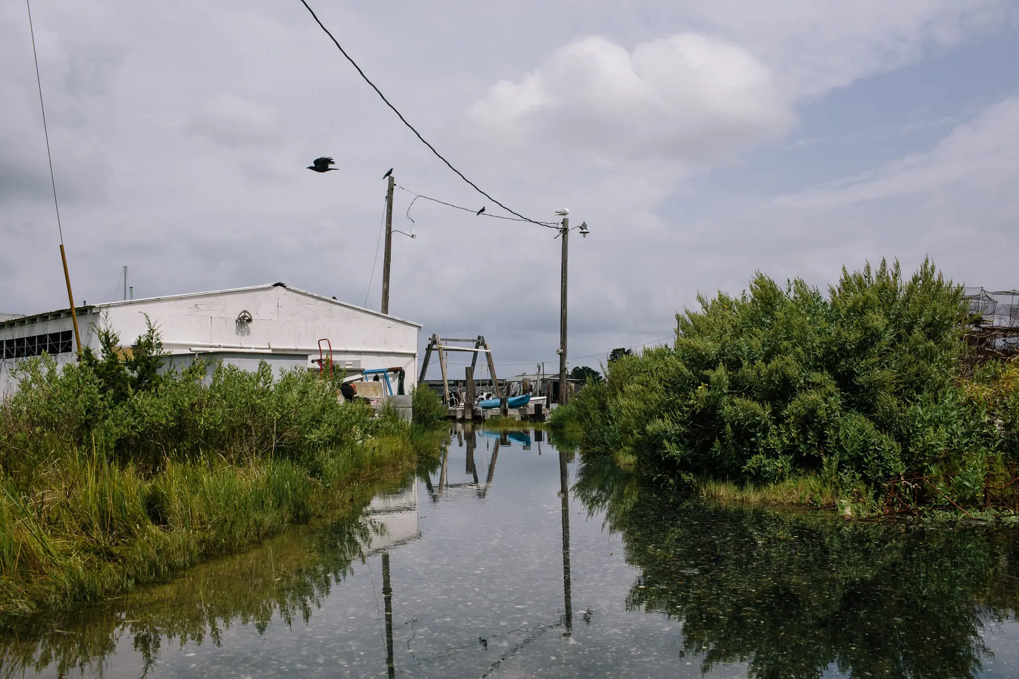 Roads begin to flood during high tide on Smith Island.