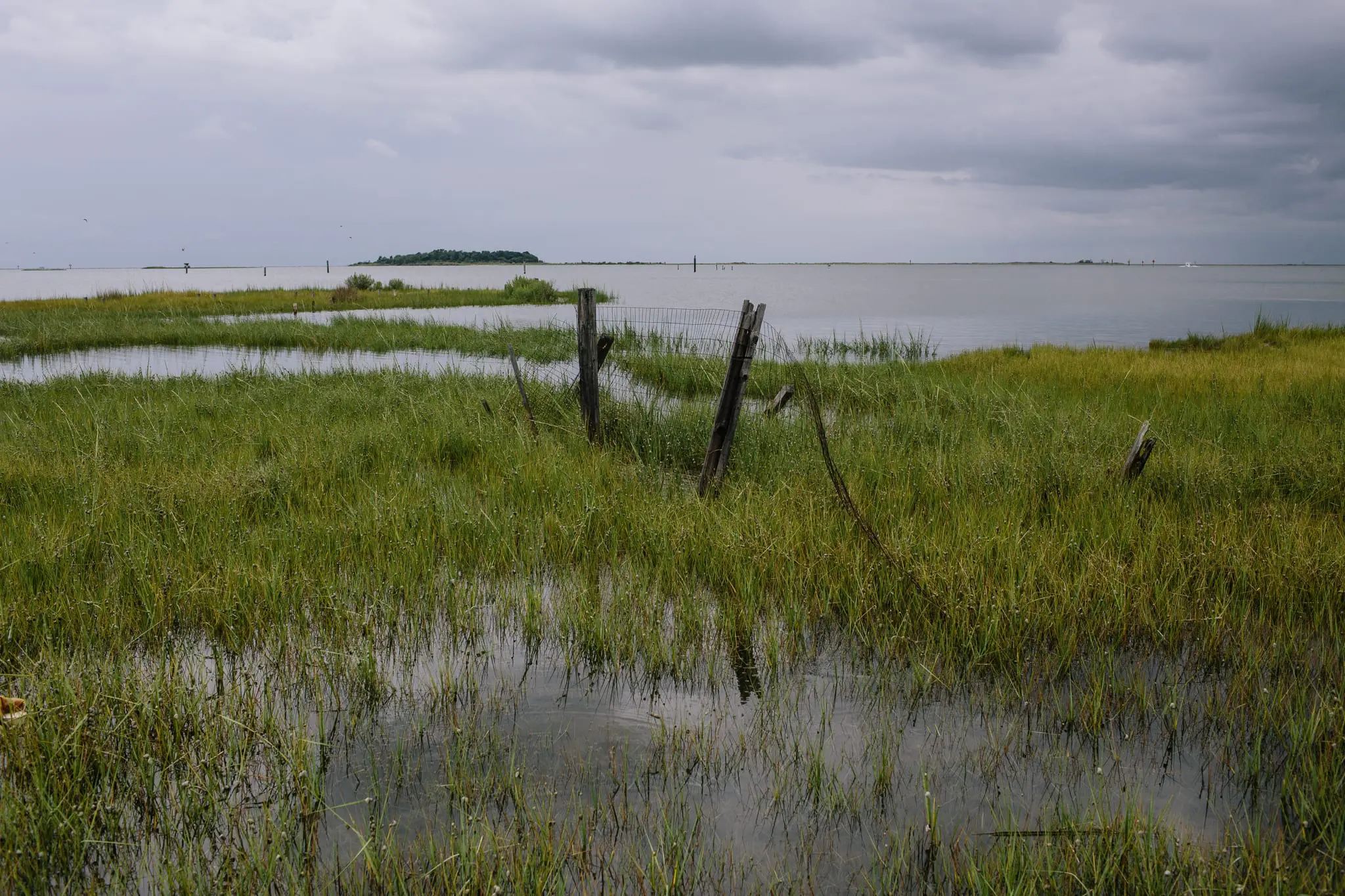 Marsh begins to flood during high tide on Smith Island.