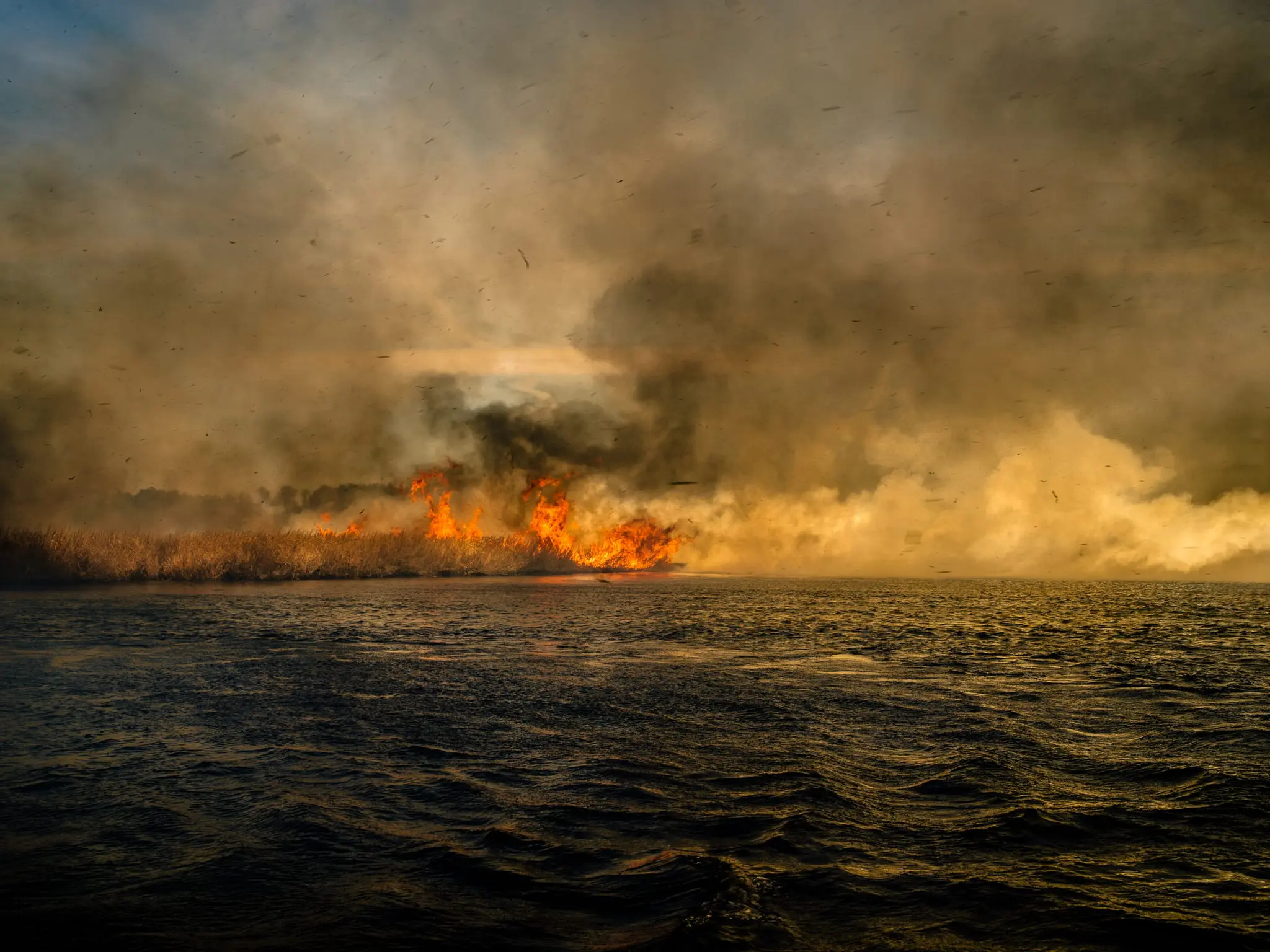 A controlled burn on the marshes of Blackwater NWR on the Eastern Shore of Maryland.