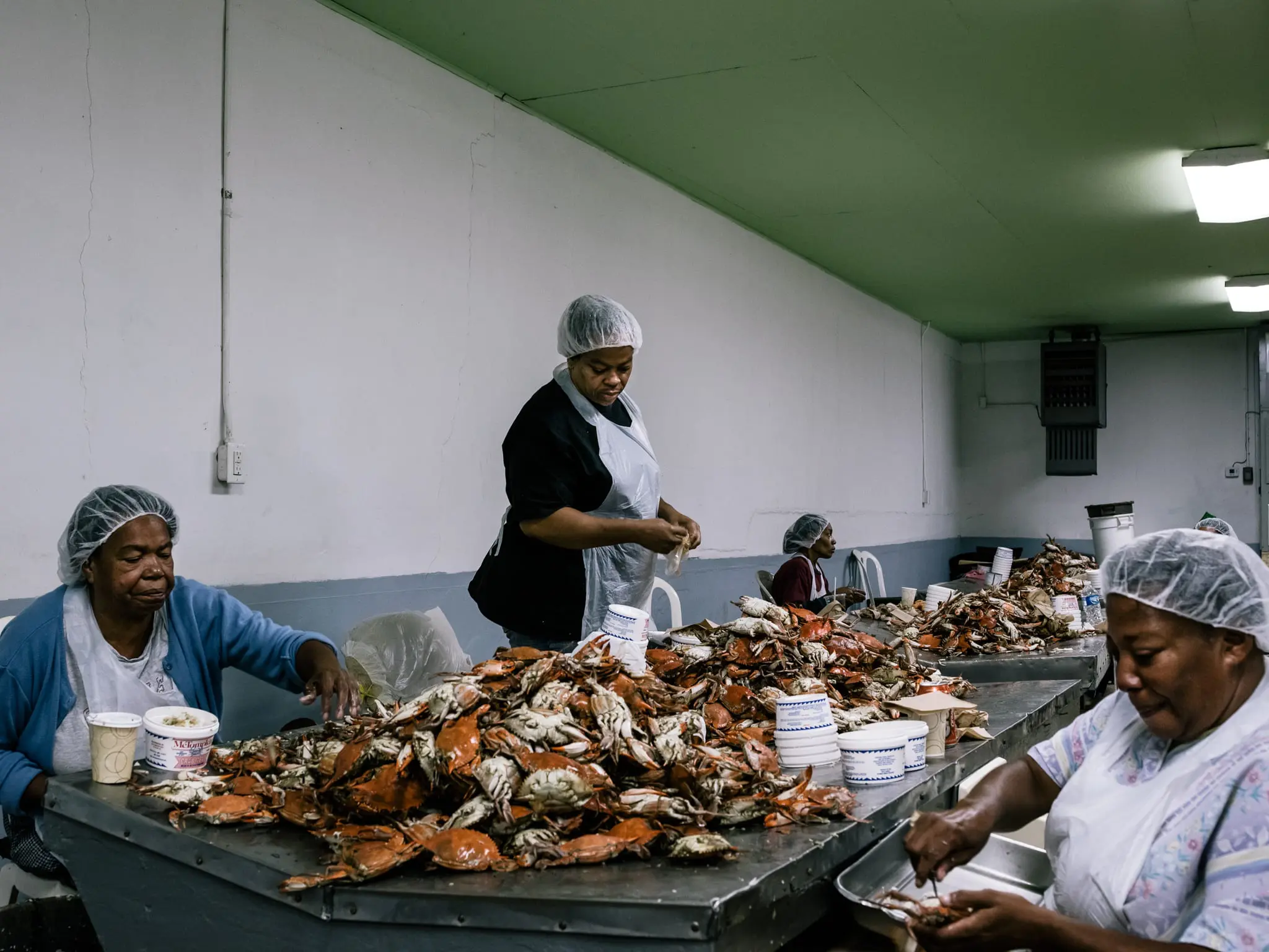 Women pick crab meat at MeTompkins Seafood.