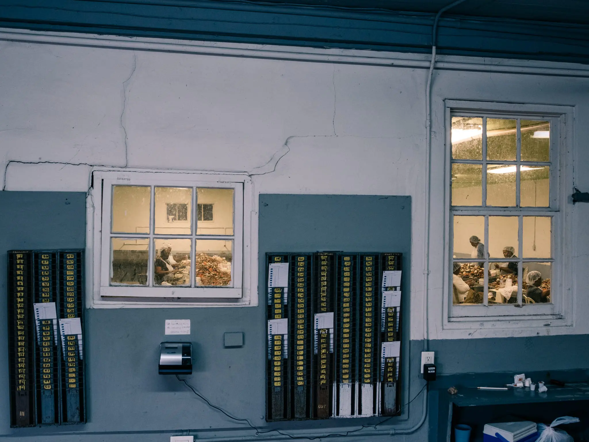 Women pick crab meat at MeTompkins Seafood.