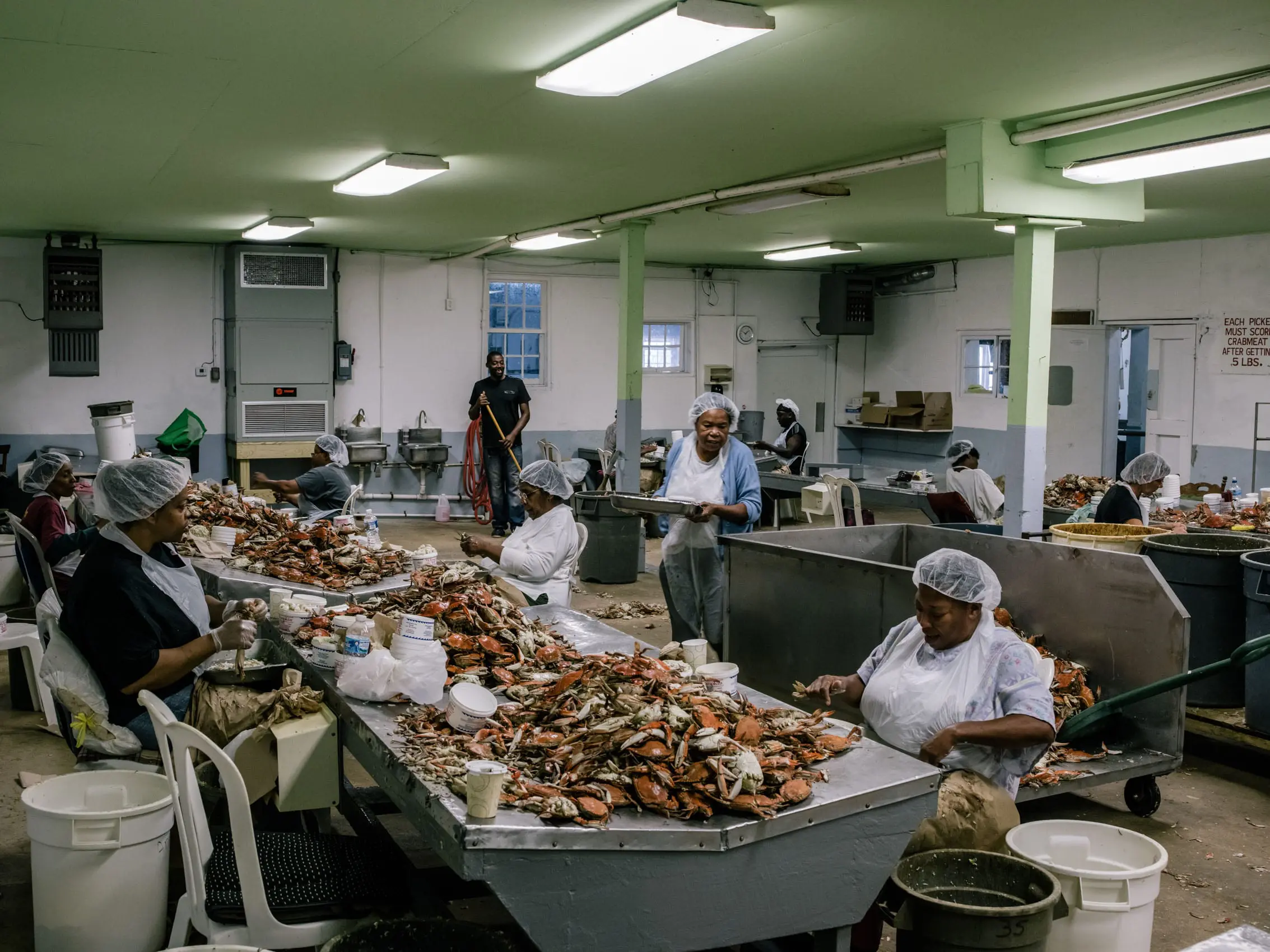 Women pick crab meat at a seafood packing house.